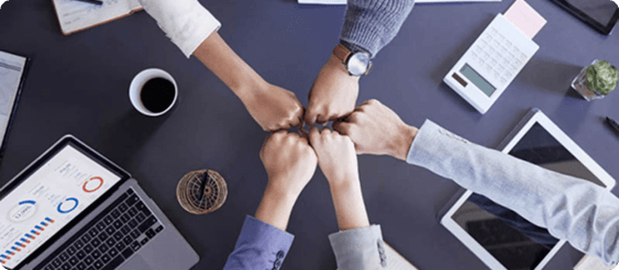 Collaboration and Partnerships