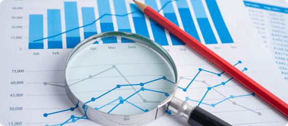 Market Research and Analysis